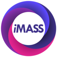 iMASS - Interim expertise on demand